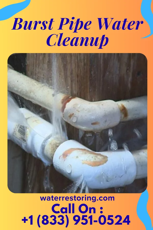Burst Pipe Water Cleanup in Bemidji, MN