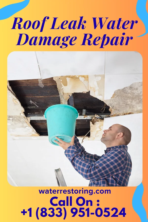 Roof Leak Water Damage Repair in Bemidji, MN